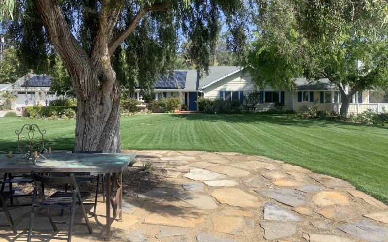 Enchanted Elfin Forest Property with Spacious Yards, Beautiful