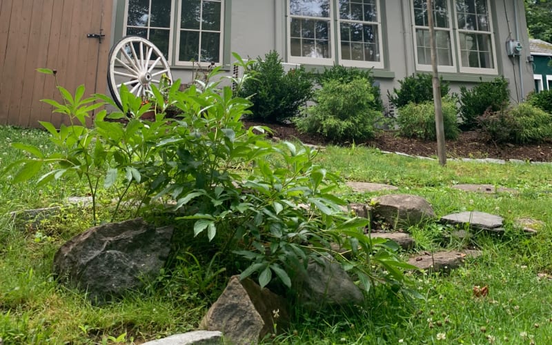 Cozy Cottage with backyard oasis, Valley Cottage, NY Event Peerspace