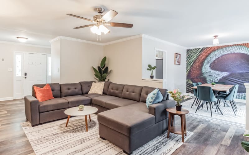 Mins from Downtown Matthew Event Gathering in backyard Dog Park