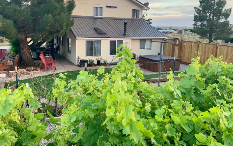 Remote, Farmhouse, high desertred rocks, Cane Beds, AZ Production