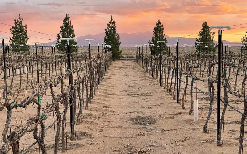 Stunning Winery in Kingman, Arizona Great For Events, Kingman, AZ