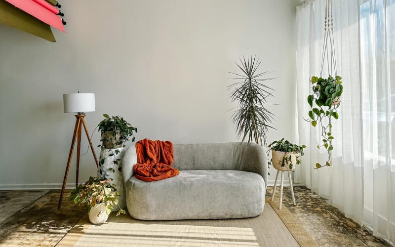 Studio Evermore Normaltown Photo Studio, Athens, GA Production