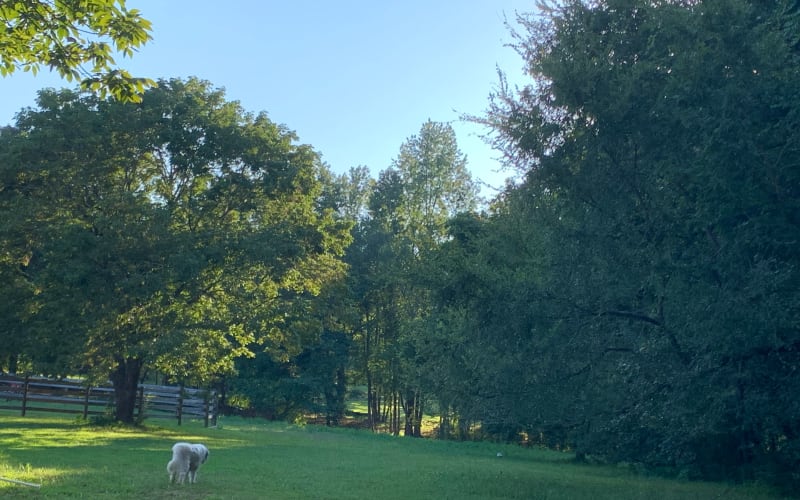 Pittsboro Farm Event Space, Pittsboro, NC Event Peerspace
