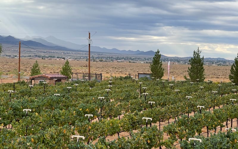 Beautiful Winery in Kingman, Arizona Perfect for Large Productions