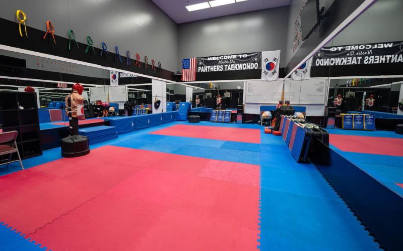 Gym, Podcast, YouTube channel, Martial Arts, Tallman, NY Production