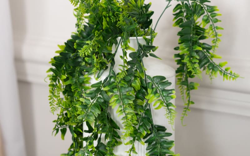 Neutral Modern Luxe Studio, Murfreesboro, TN Production Peerspace