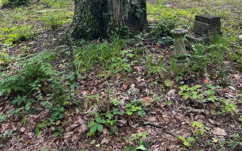 Secluded Ridgetop Nashville Cabin, Whites Creek, TN Production