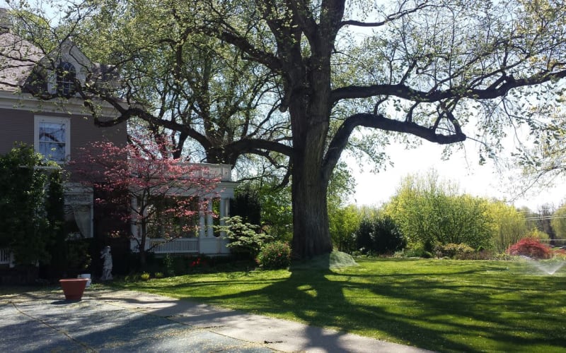 Historic Rural Mansion Garden, WAPATO, WA Production Peerspace