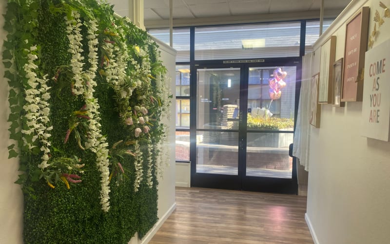 Skin Deep Beauty and Wellness Studio Spa Studio, Benicia, CA