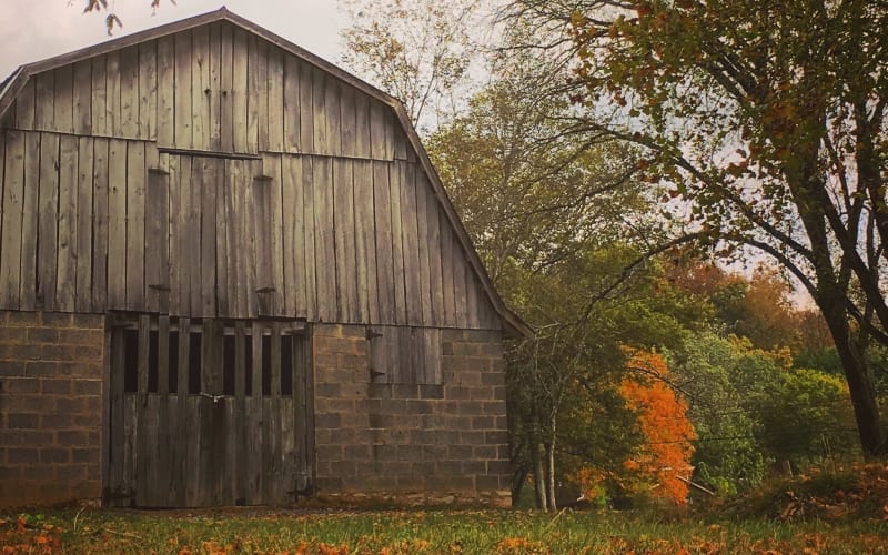 The Barn at the Haven 15 min from Downtown Nashville, Goodlettsville