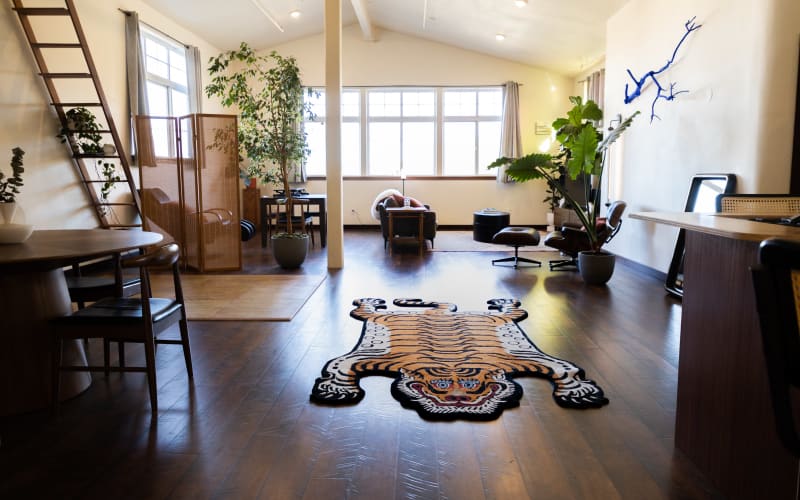 Luxury furnished and modern open apartment/ photo studio., ARCATA, CA