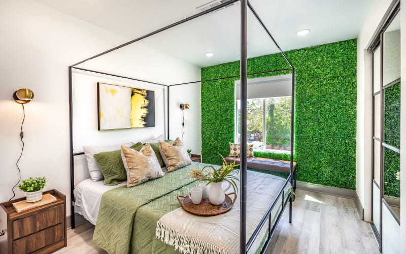 Lower Greenville Amazing Apartment with Green Wall, Dallas, TX