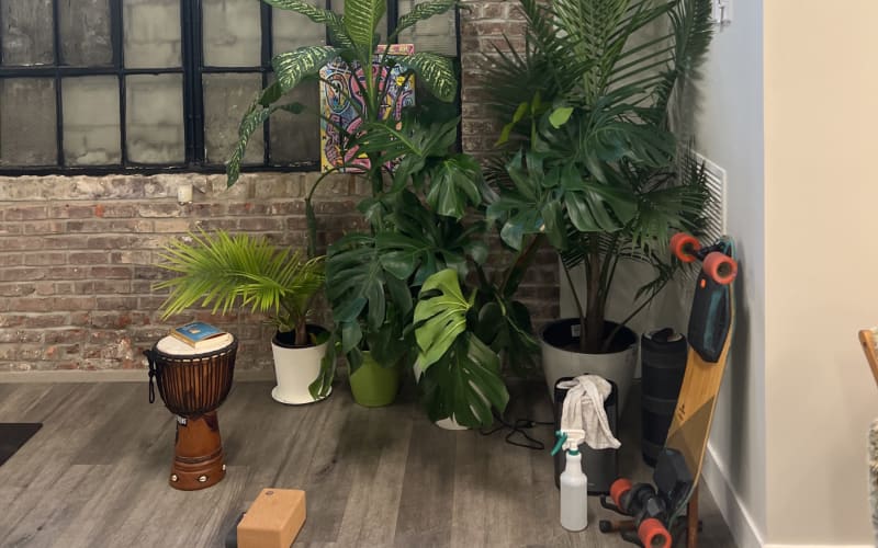 Authentic Yoga Studio in the Heart of a Greenpoint, Brooklyn, NY, Production