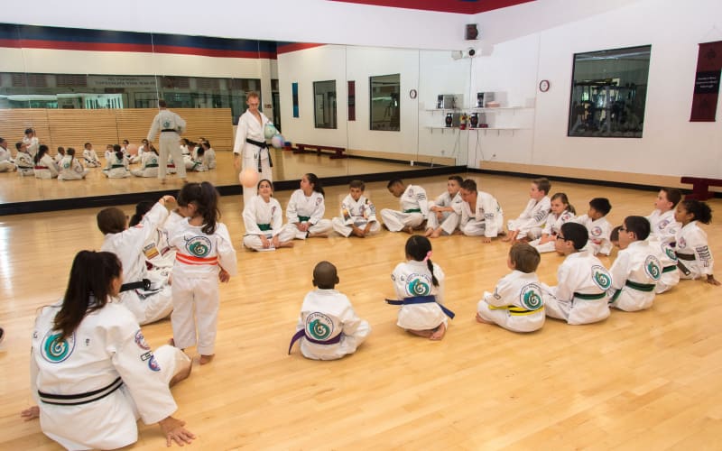American Martial Arts Academy Open Studio Room(s) Available for