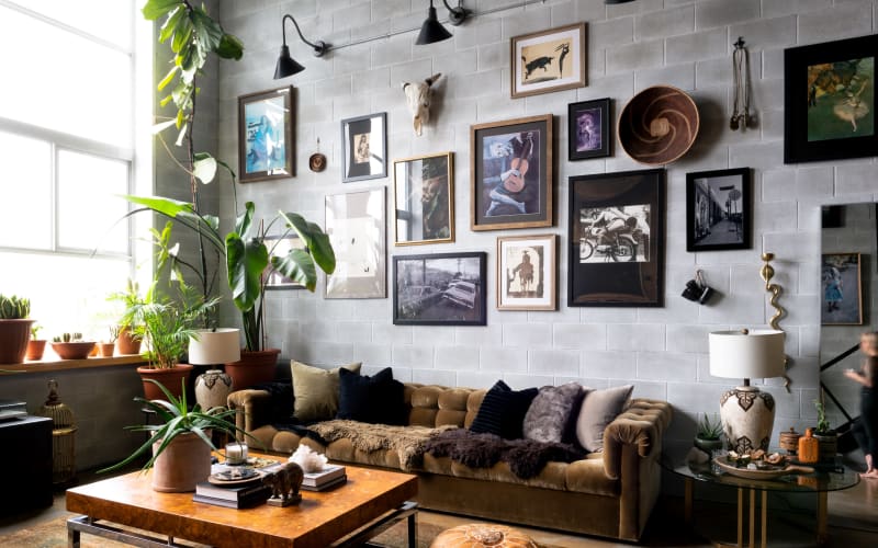 Eclectic Jungle Loft with open concept and large South facing windows