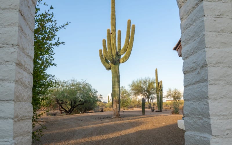 North Scottsdale Unique Custom Home & Casita with Saguaro and Rustic 