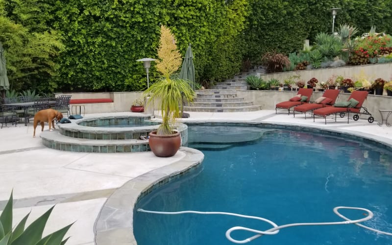 Backyard Oasis with Swimming Pool, Encino, CA Production Peerspace