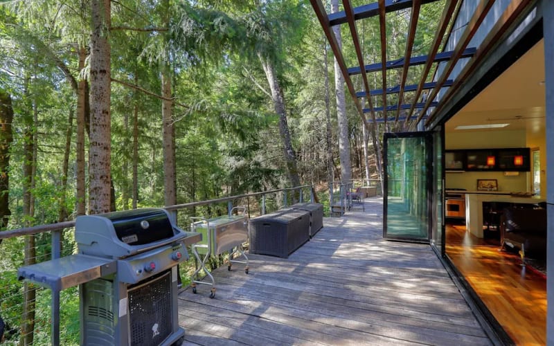 Secluded 'Green' AwardWinning Contemporary Lakefront Home, Grass