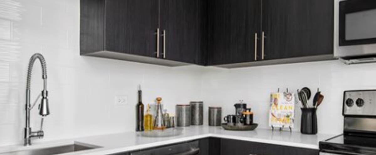 Luxury Spacious Condo In Gold Coast Chicago Il Production