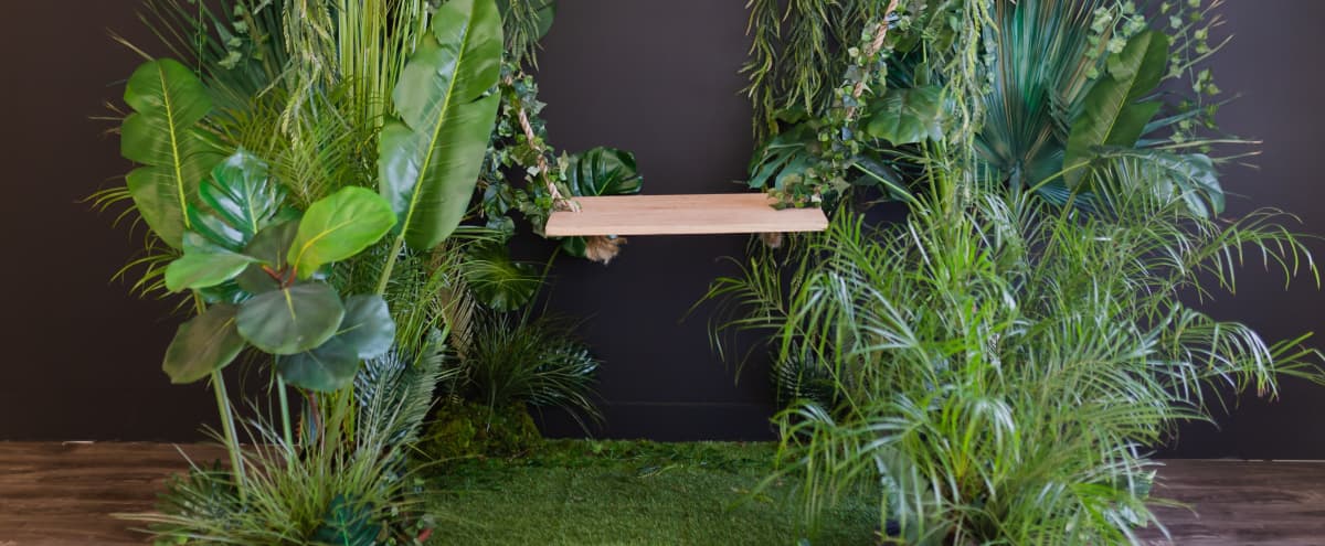 The Solar Gardens Tropical Rainforest Jungle Plants With Greenery Los Angeles Ca Production Peerspace