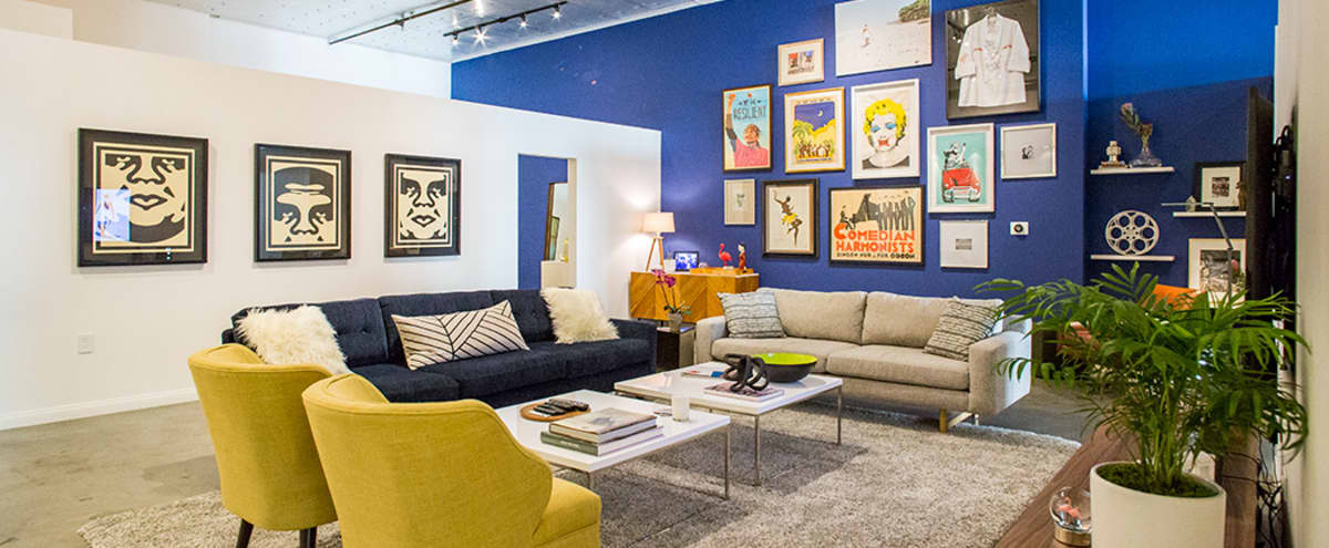 Designer Gallery Loft W 14 Ft Ceilings