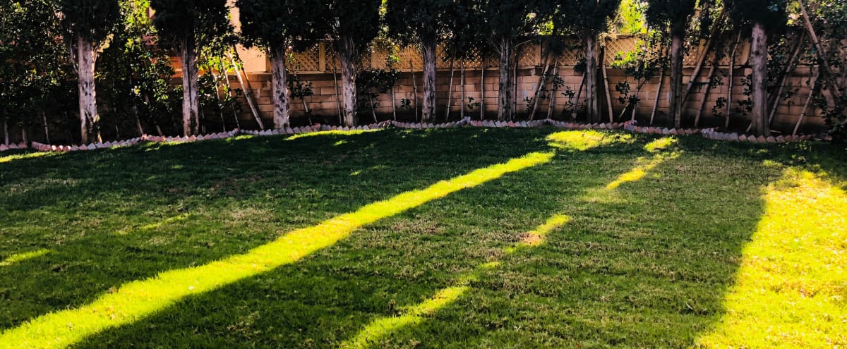 Large Lake Balboa Home With Big Yard Van Nuys Ca Event Peerspace