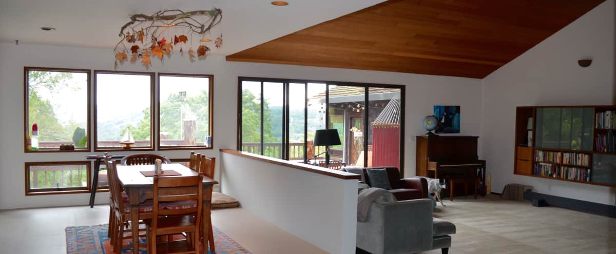 Orinda Spacious Mid Century Home Orinda Ca Production
