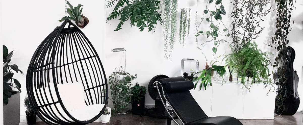 How Much Is A Makeup Holder Loft High Ceiling
