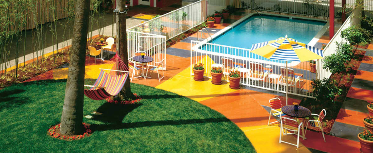 Hotel Del Sol Pool and Courtyard in San Francisco Hero Image in Cow Hollow, San Francisco, CA