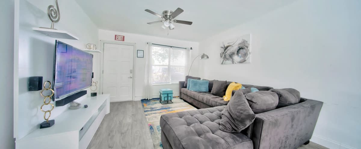 Cozy Oasis for Photoshoots in Hollywood Hero Image in Boulevard Heights, Hollywood, FL