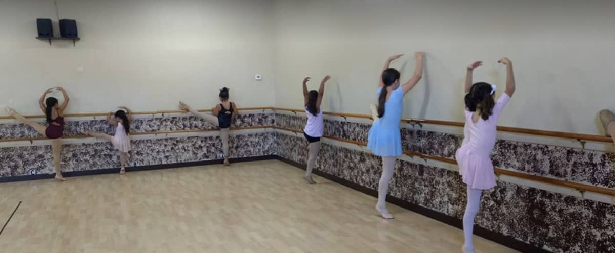 Large Centrally Located Dance Studio Room Production Space with Hardwood Floors in Wyandotte Hero Image in undefined, Wyandotte, MI