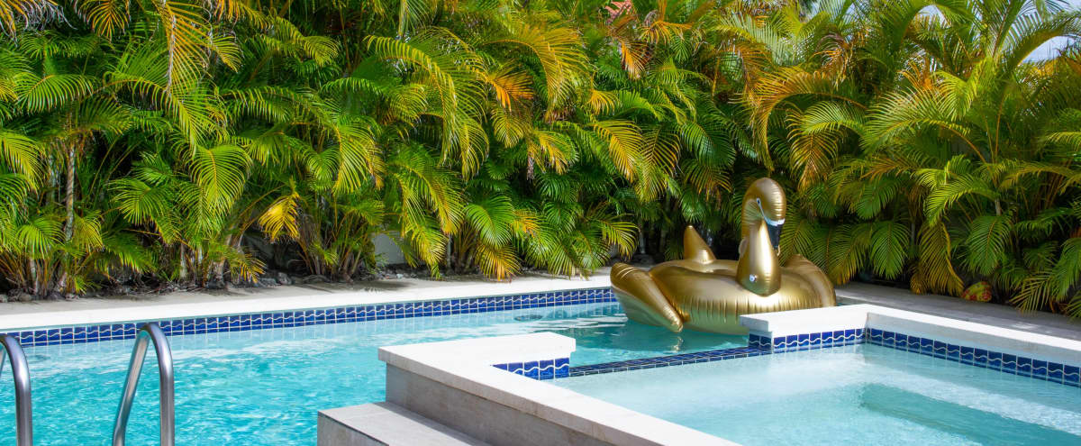 Tropical Modern House With Pool & Hot Tub in Dorado Hero Image in Los Paseos de Dorado, Dorado, PR