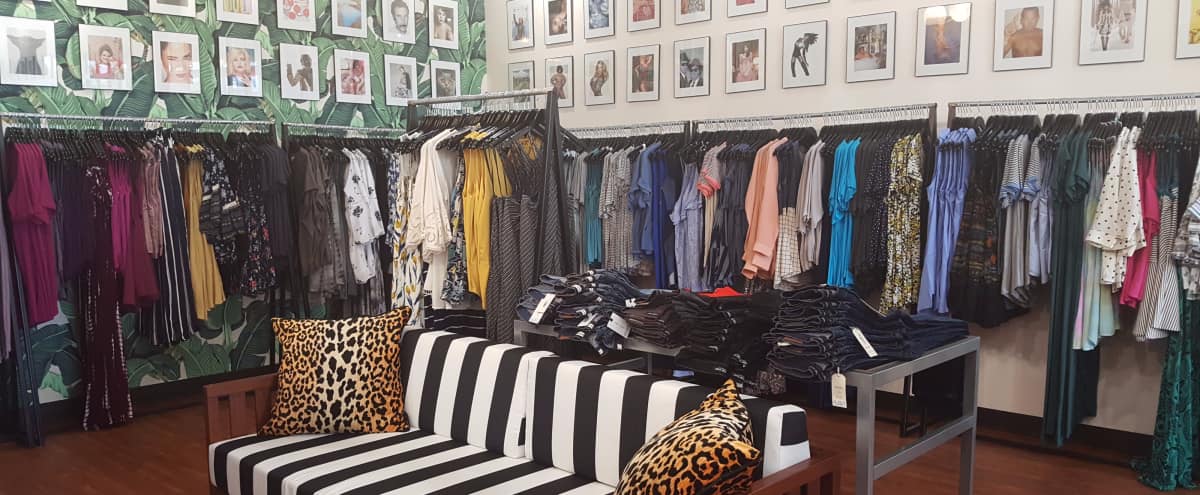 Boutique Space With Beverly Hills Hotel Wallpaper Pflugerville