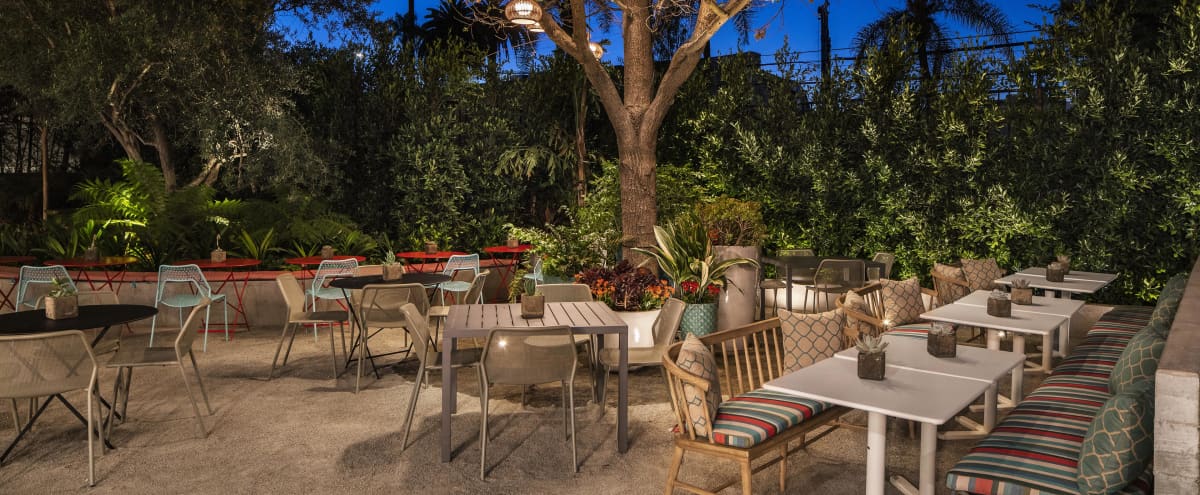 Modern Restaurant Bar With Stellar Outdoor Garden Patios A