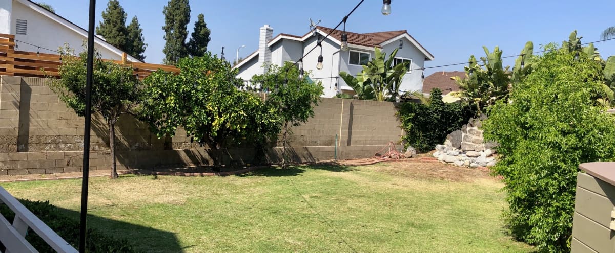 Large Backyard For Families Weddings Events Placentia Ca