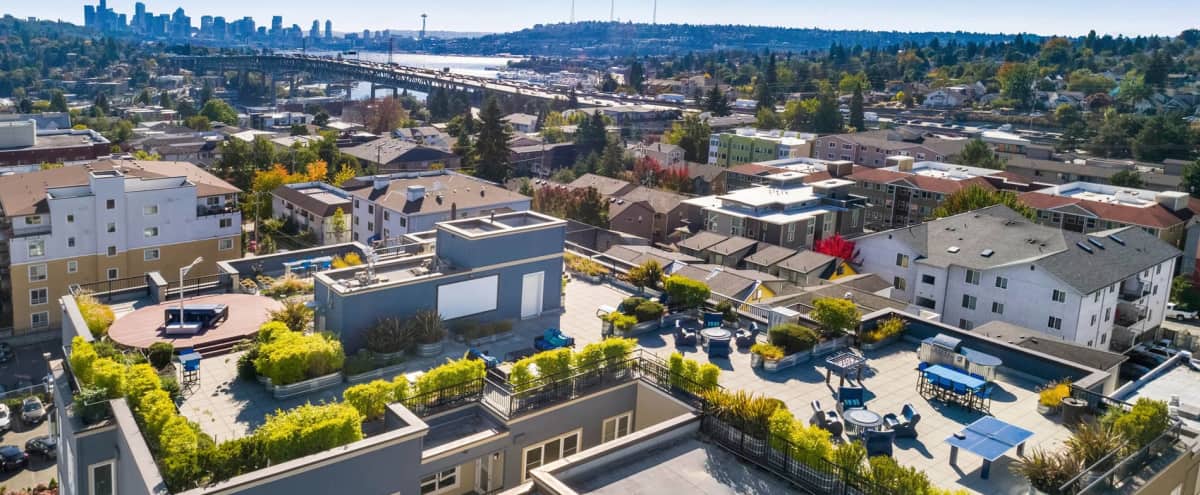 Stunning Rooftop Deck and Event Space (K) in Seattle Hero Image in Northeast Seattle, Seattle, WA