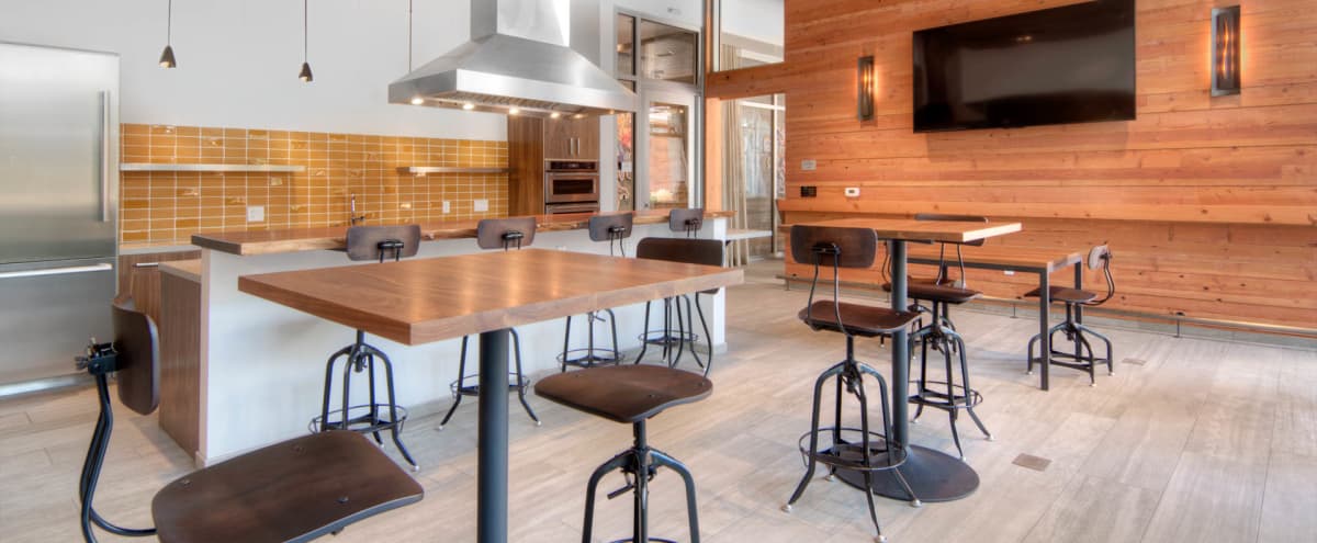 Modern, Bright Kitchen Complete with Appliances - Perfect for ...