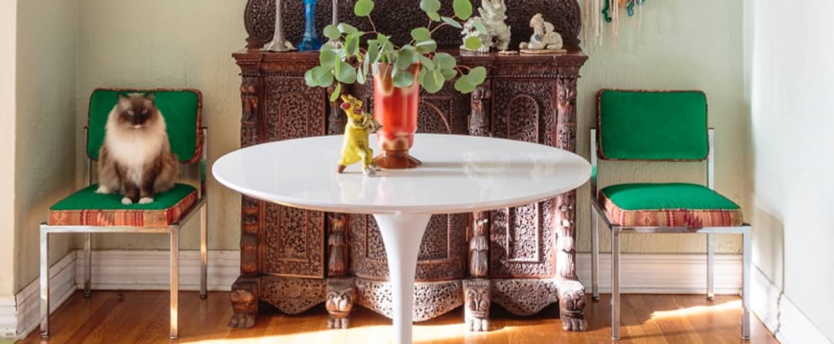 Elegant Urban Bohemian Artists Luxe Apartment With Views Oakland Ca Production Peerspace