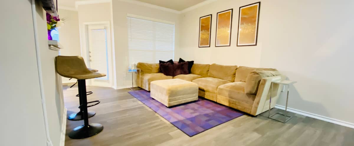Chic Apartment Located by Popular Shopping Mall! in Cedar Park Hero Image in Cedar Park, Cedar Park, TX