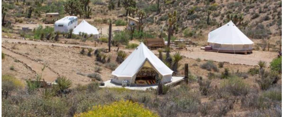 Desert art inspirational venue in Joshua Tree in Yucca valley Hero Image in undefined, Yucca valley, CA