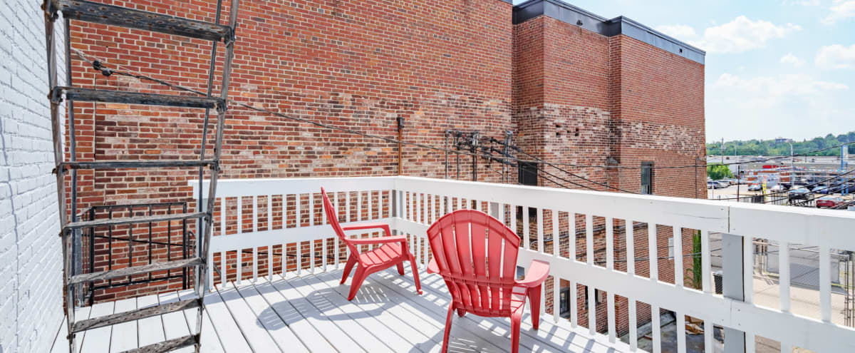 Downtown Modern Studio with Patio in Baltimore Hero Image in Old Goucher, Baltimore, MD