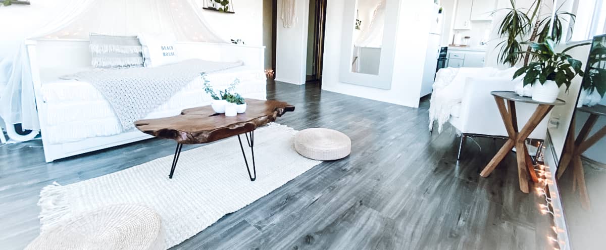 Luxury High Rise Modern Beachy Bohemian Studio With Spectacular