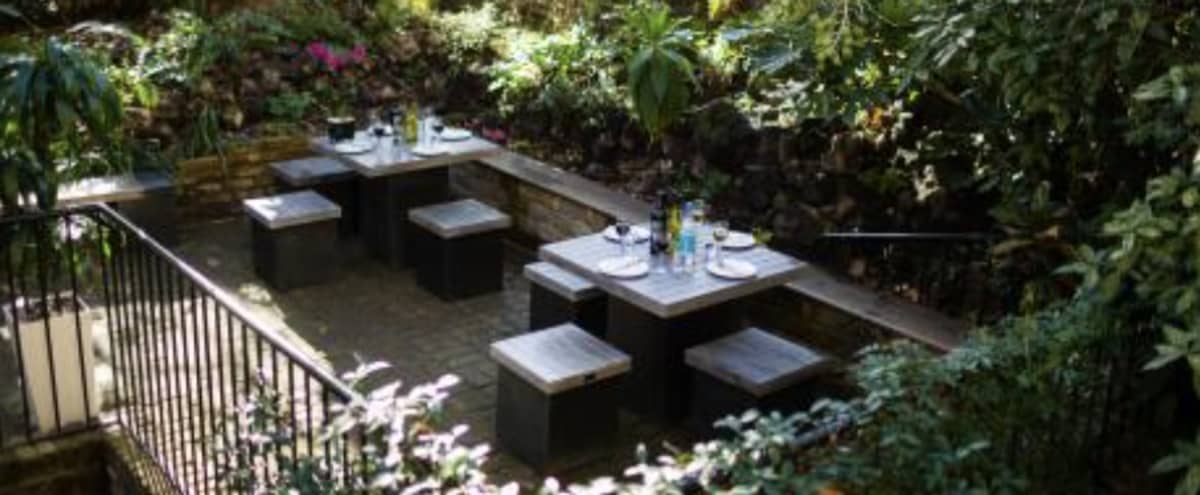 Garden In Central London Up To 25 People in London Hero Image in Holborn, London, 