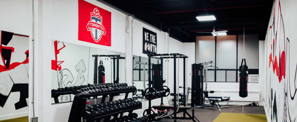 Downtown Boutique Fitness Studio in Toronto Hero Image in Leslieville, Toronto, ON