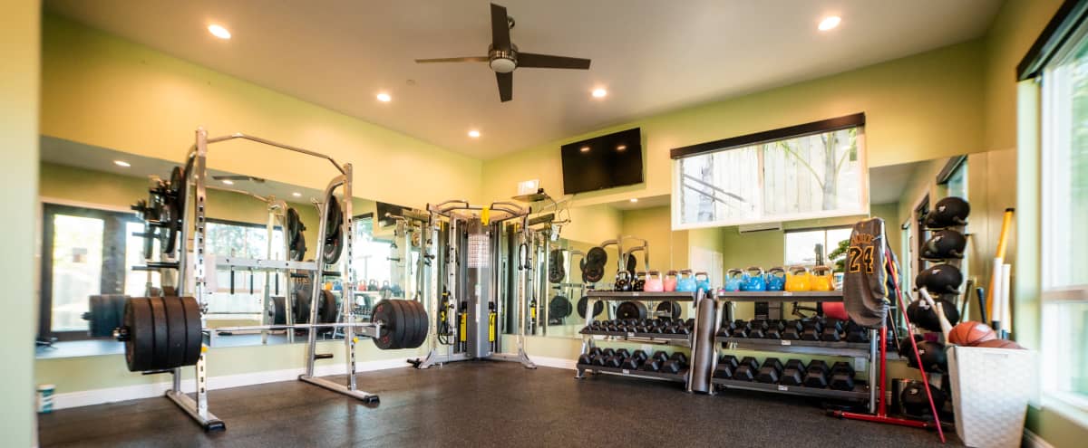 Private Fitness Studio with Turf in Poway Hero Image in undefined, Poway, CA