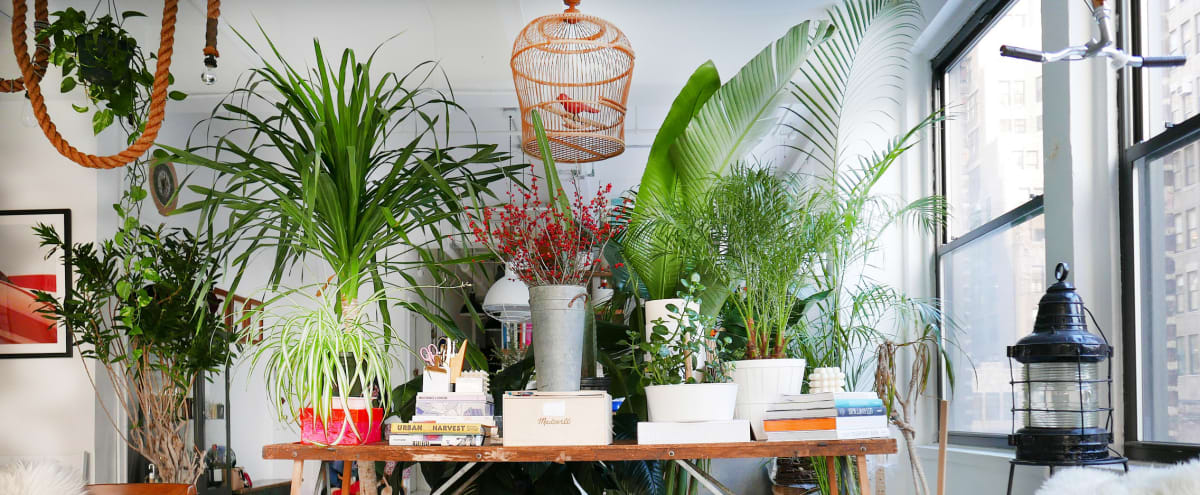 Greenhouse Loft With 20 Windows New York Ny Production Peerspace