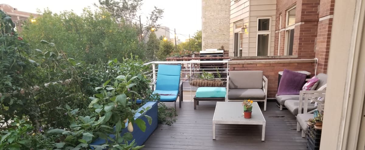 Modern Wicker Park Condo Open Floor Plan Huge Patio Chicago