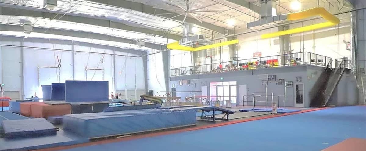 Gymnastics Gym | Great for Birthday Parties! in Laurel Hero Image in North Laurel, Laurel, MD