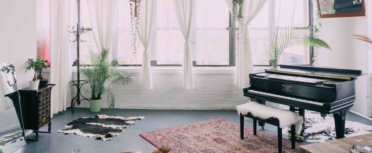 Sunny Spacious Piano and Plant Filled Brooklyn Loft in Brooklyn Hero Image in Bedford-Stuyvesant, Brooklyn, NY