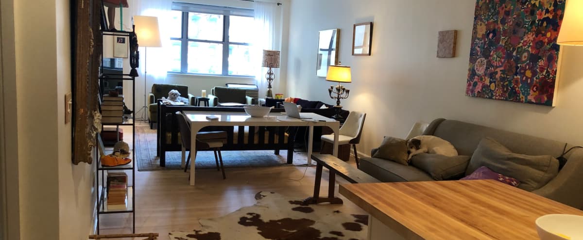 Lower East Side Cool Eclectic 40 Living Area For Productions Ny